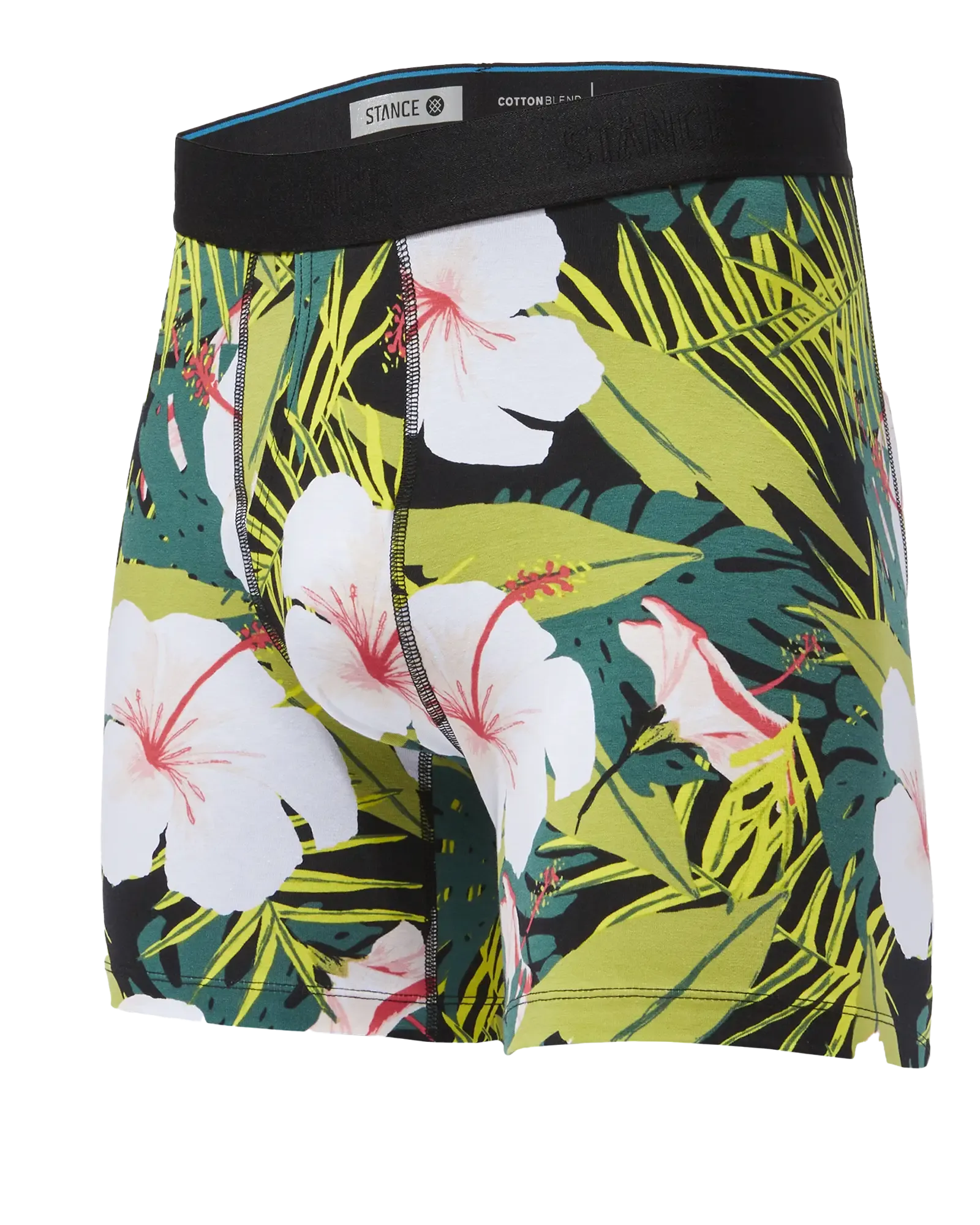 Alonzo Boxers in Black