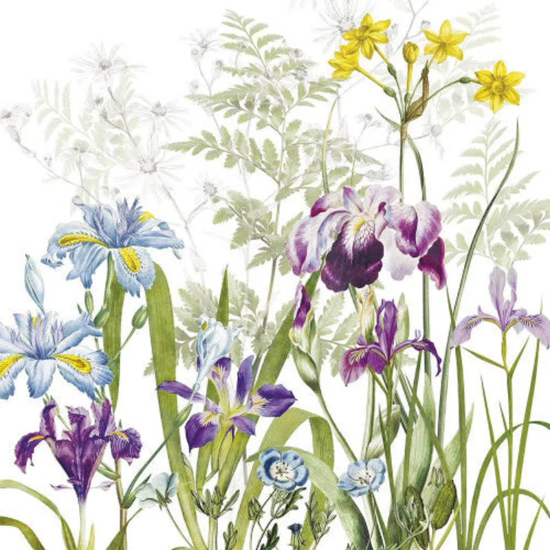 Iris D’Hiver Collection